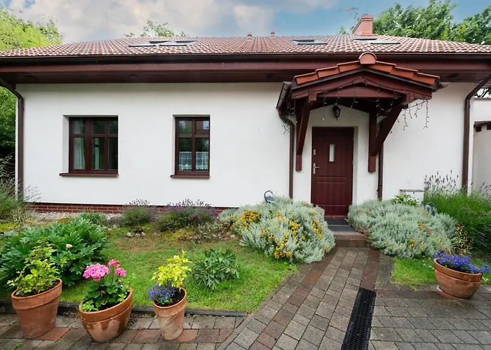 Sopocki Zakatek * סופוט